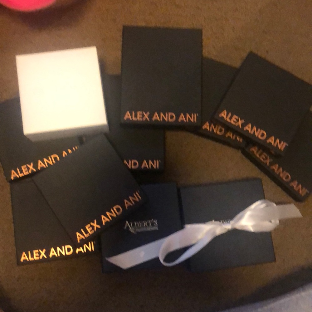 Alex and ani boxes
